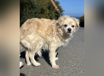 Omi Zorina sucht Endstelle!