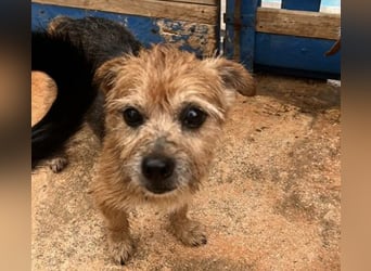 Micky ist ein Traumjunge und liebt das Leben