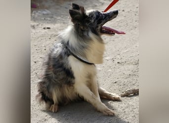 Daisy, freundlich, offen und ausmerksam