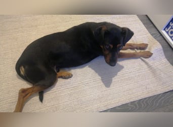 Paul - immer gut drauf