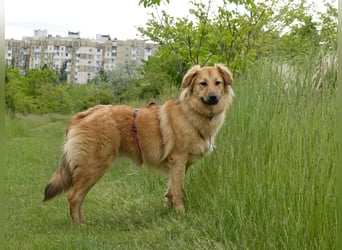 Sally sucht ein liebevolles Zuhause