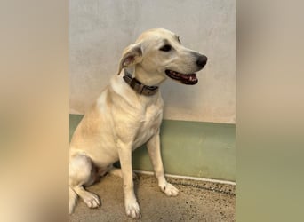 Lilly – sensibel, aktiv, besonders. Wer gibt ihr diesmal die richtige Chance?