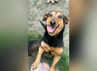 Frida, 10.05.2019 geboren, 31 cm sucht ihre Menschen