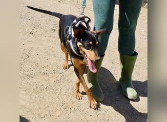 Amy, offen, neugierig und intelligent