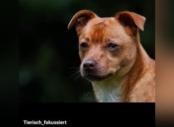 Flo, ein süßer Troll sucht seine Menschen
