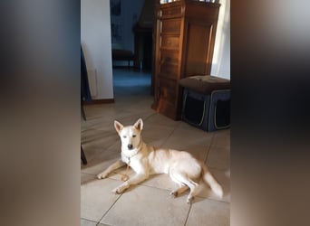 Perla: Sportskanone und Kuschelmaus