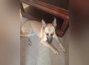 Liebe PRINCESA sucht ihr Traumkörbchen