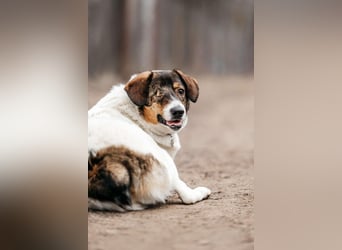 Besondere Agatha sucht ihre Menschen