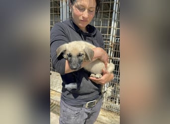Storm auf der Suche nach ihrem Glück