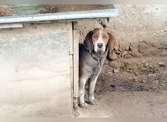MATHILDA - unter keinem guten Stern geboren!