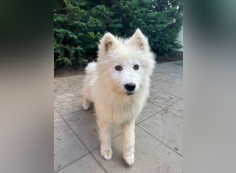Romy SR – Kleine Schneeflocke mit großem Herzen
