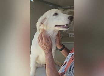 Lars: ihn muss man lieb haben