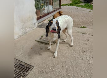 Alice - grosse Kämpferin und Sonnenschein - mit Alice gewinnt ihr eine Freundin fürs Leben
