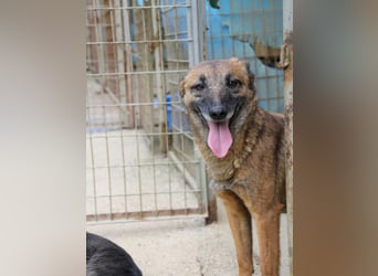Kuckuck, zauberhafte NISHA sucht liebevolle Familie