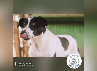 Hotspot: Ein Herz voller Hoffnung