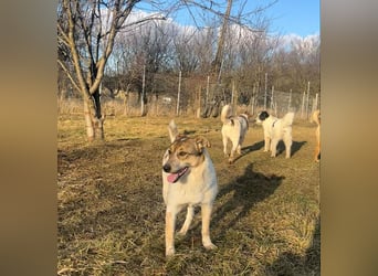 Aufgeschlossene Freya sucht liebe Familie