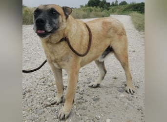 Zeki - hat Hölle hinter sich gelassen