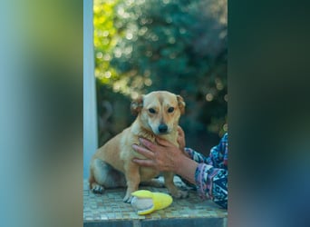 Sanfte Martha sucht ihr Zuhause