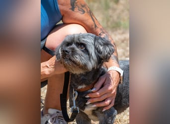 Kiko - ein charmanter Junge