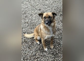 Rube: Liebevolle Begleiterin