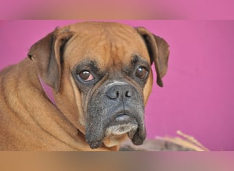 Schenken Sie Roky eine Zukunft?