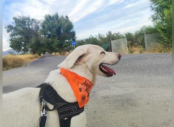 BLANCA