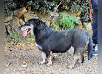 Fonzy- Unikat sucht ebensolches - und Liebe!
