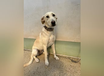 Lilly – sensibel, aktiv, besonders. Wer gibt ihr diesmal die richtige Chance?