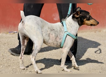 Rocky, offen, freundlich und neugierig