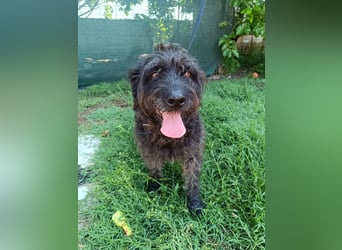 Ein neues Glück für Senior OTTO