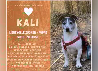 Kali - Zuckerpuppe aus Mülheim an der Ruhr verliert ihr Zuhause!