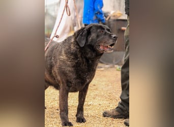 Xenia VA - Große Prinzessin sucht neues Traumschloss
