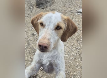 Zoe, ein toller Familienfreund