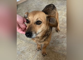 Peaches sucht ihre Familie