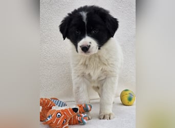 Nele, ein von 7 kleinen Schätzen