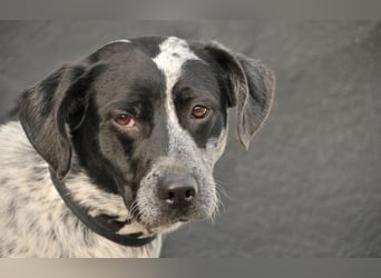 Zeigen Sie Dotty ein Leben inmitten einer Familie?