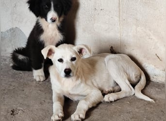Celia – Lebensfroher Wirbelwind sucht ihre Familie fürs Leben!