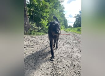 Paty, sucht ihre Herzensmenschen
