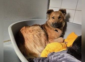 Unsere schüchterne Dani sucht Dich