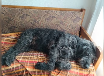 Ein neues Glück für Senior OTTO