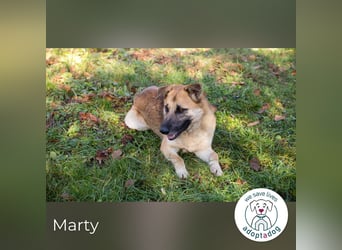 Marty sucht seine Menschen