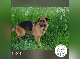 Frieda: Eine liebevolle Frohnatur