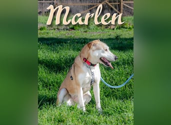Marlen – sucht ihren sicheren Hafen