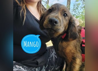 Mango süß und lieb
