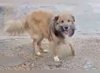 Honey, noch vorsichtig aber lieb