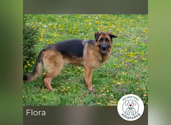Flora: Fröhlich und bereit fürs Glück