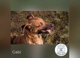 Gabi: Hat ihren Lebensmut wiedergefunden
