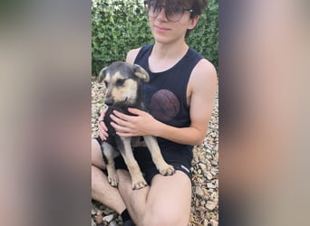 MILO - Zuhause gesucht !