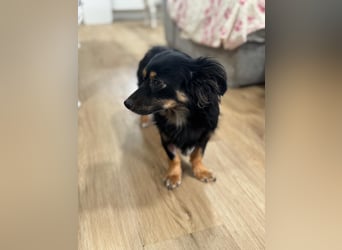 Isabel, sucht ihre Familie