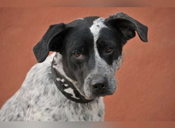 Zeigen Sie Dotty ein Leben inmitten einer Familie?